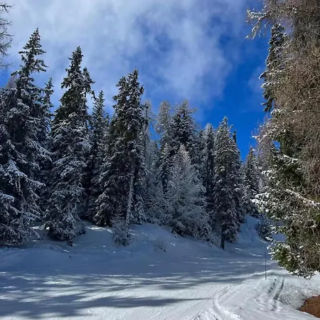 Le 44 Montagne & Famille * La Plagne