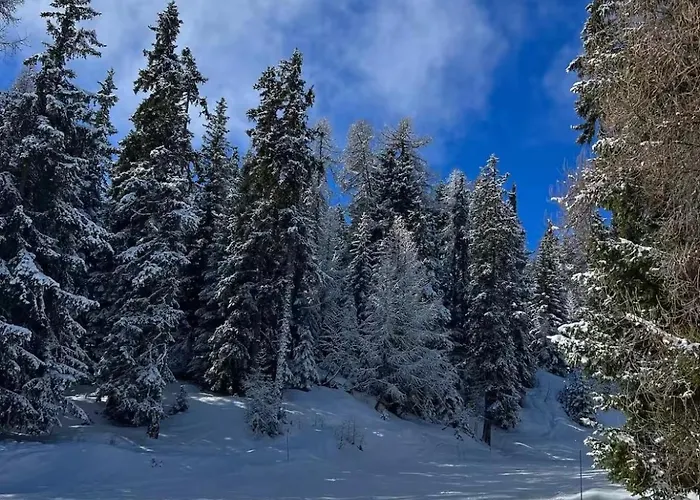 Le 44 Montagne & Famille * La Plagne